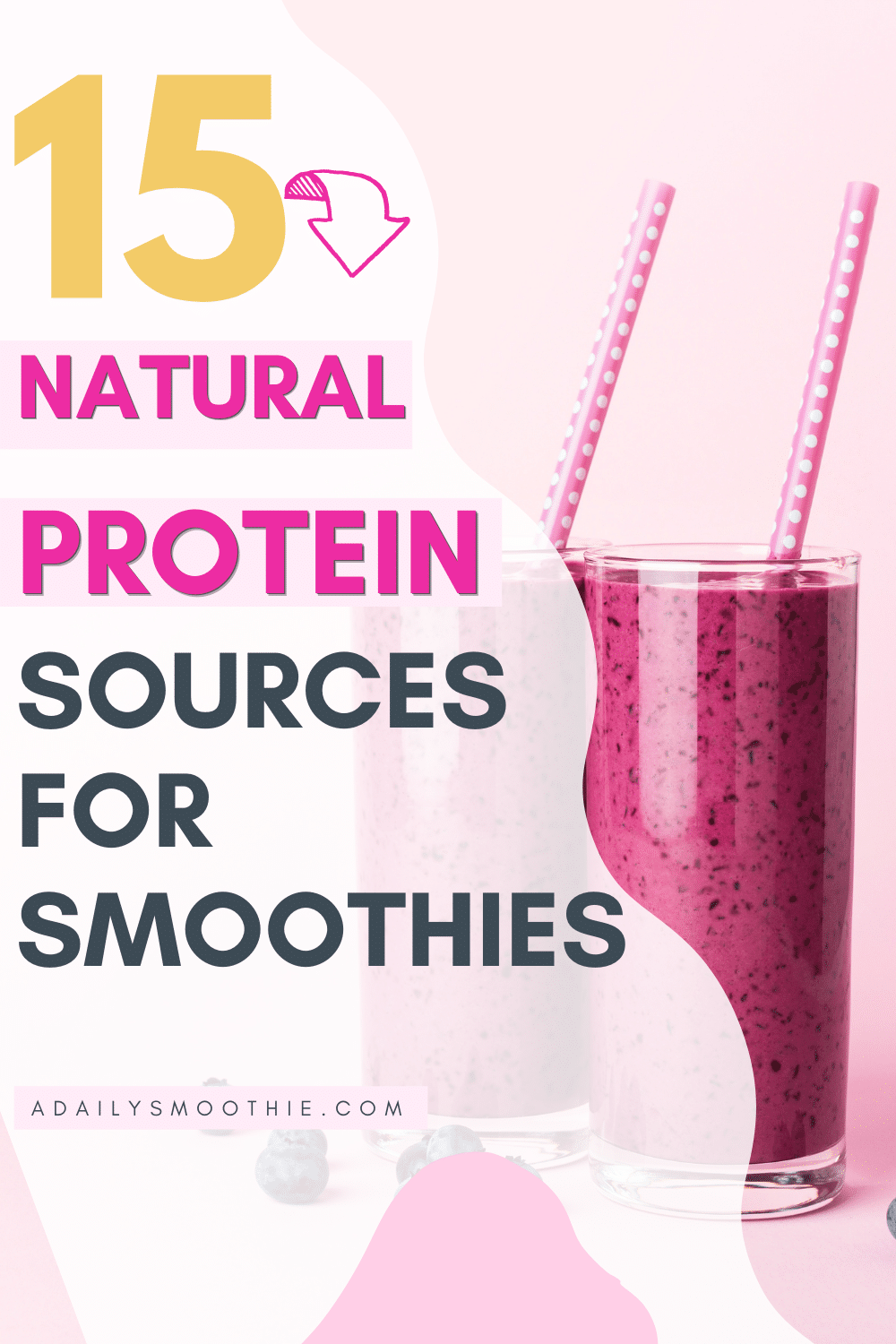 15 Best Protein Sources for Smoothies Daily Smoothie