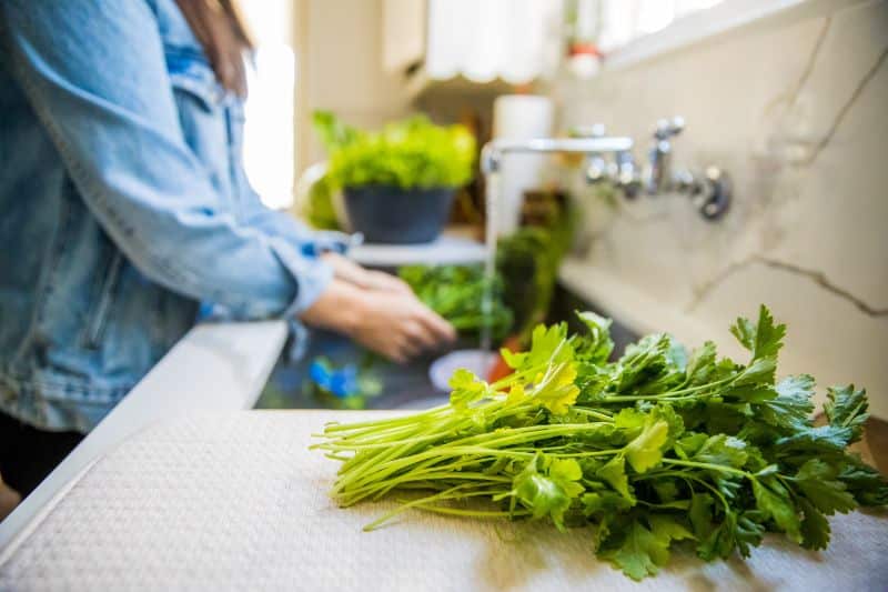 washing parsley and other herbs and veggies at the sink